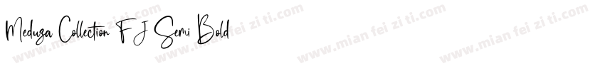 Meduza Collection FJ Semi Bold Text字体转换